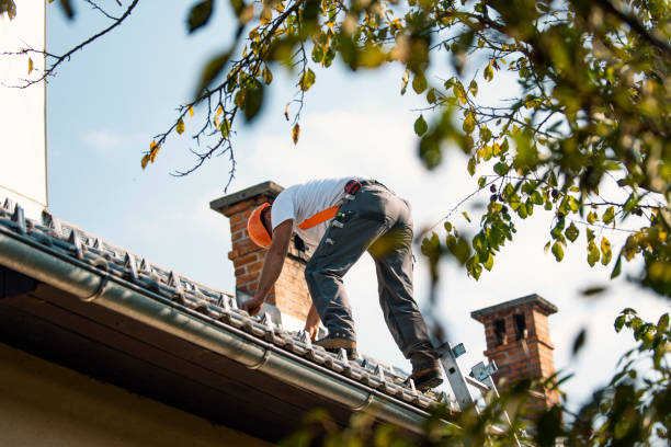 Best Slate Roofing Contractor  in East Lansing, MI