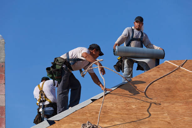 Quick and Trustworthy Emergency Roof Repair Services in East Lansing, MI